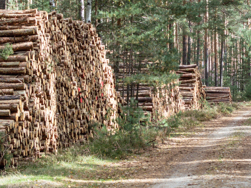 Service de coupe de bois.