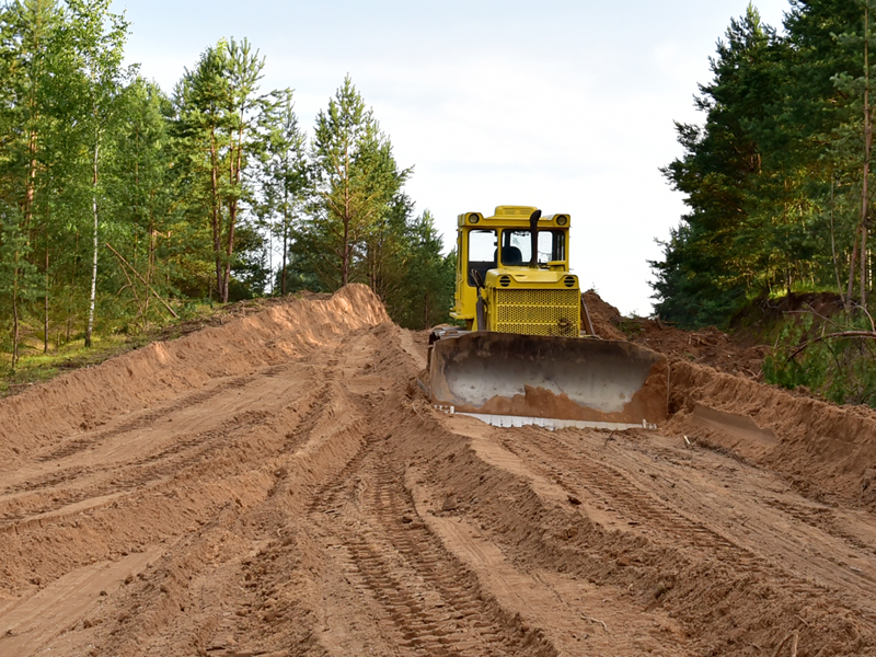 Débroussaillage et excavation pour projet forestier.
