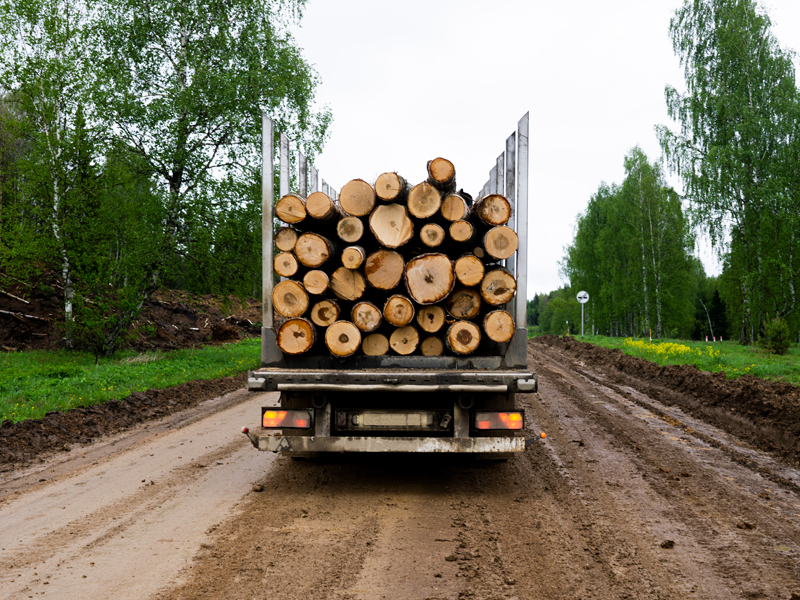 Transport forestier.